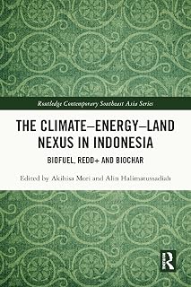 The Climate–Energy–Land Nexus in Indonesia: Biofuel, REDD+ and biochar (Routledge Contemporary Southeast Asia Series)