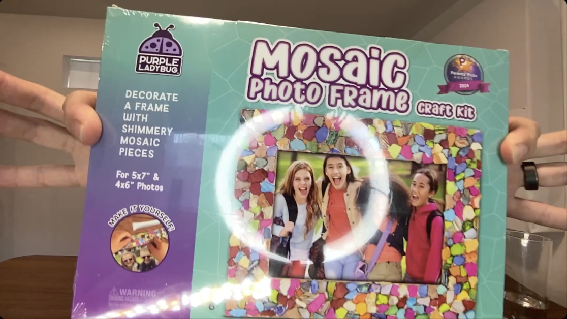 BEST Kid's Art Projects? | Purple Ladybug Mosaic Photo Frame