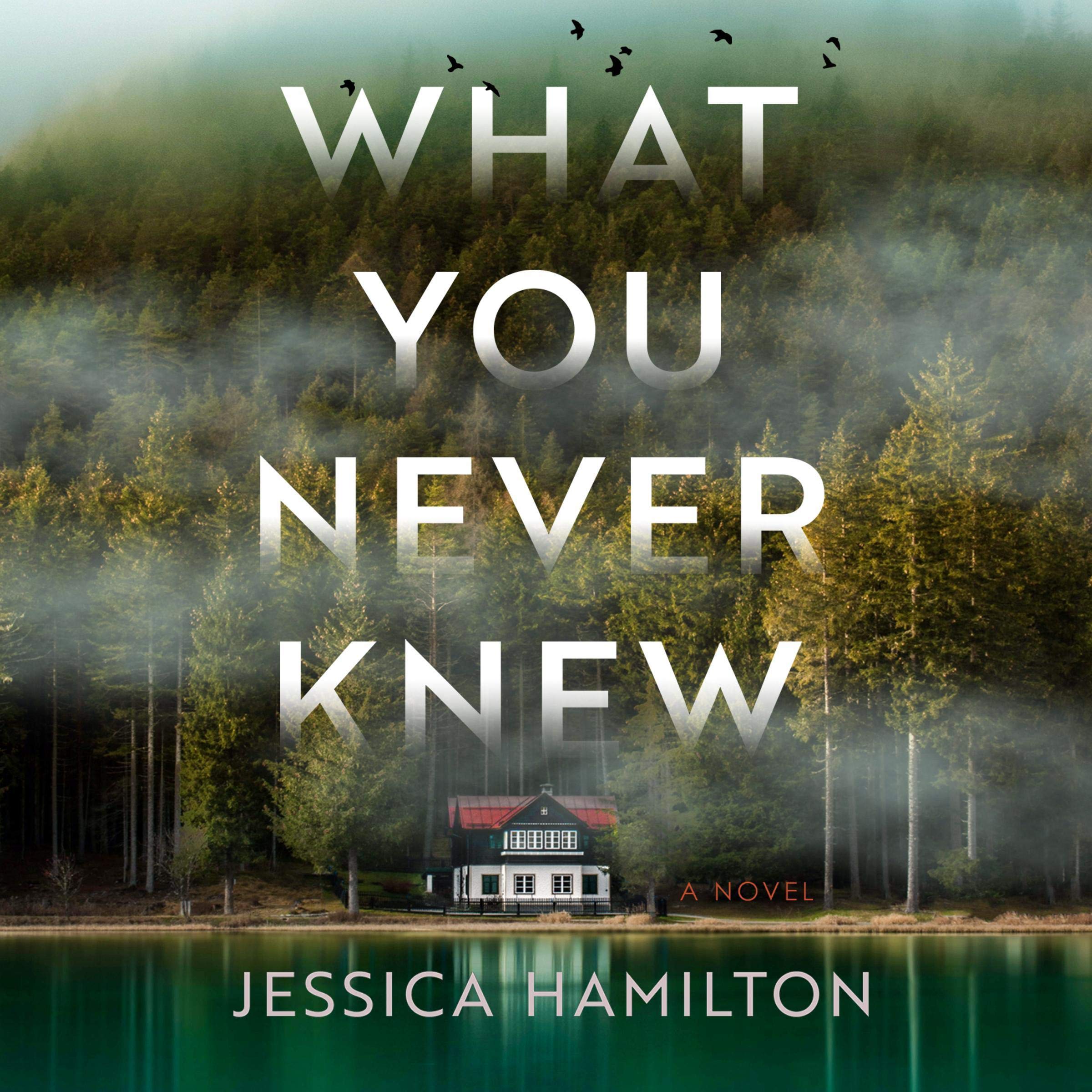 Cover art for What You Never Knew