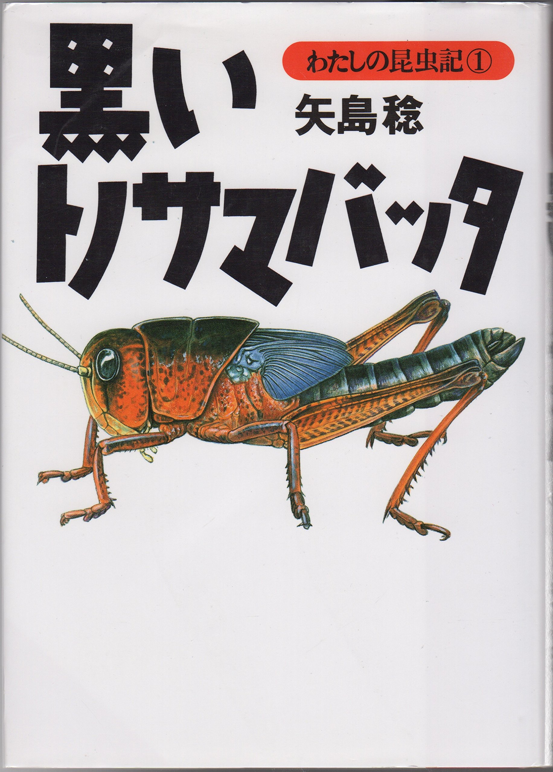 矢島稔「わたしの昆虫記」/偕成社（単行本） 矢島稔「わたしの昆虫記」/偕成社（単行本）