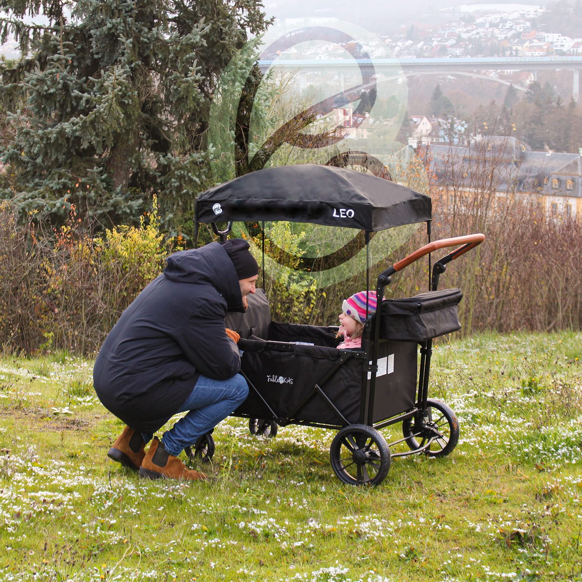 FableKids Chariot à roulettes Leo X4Lite avec Toit | Chariot de Transport Pliable | supporte jusqu'à 20 kg par siège | Harnais 5 Points | Roues 360° | Frein à Pied | Noir Onyx