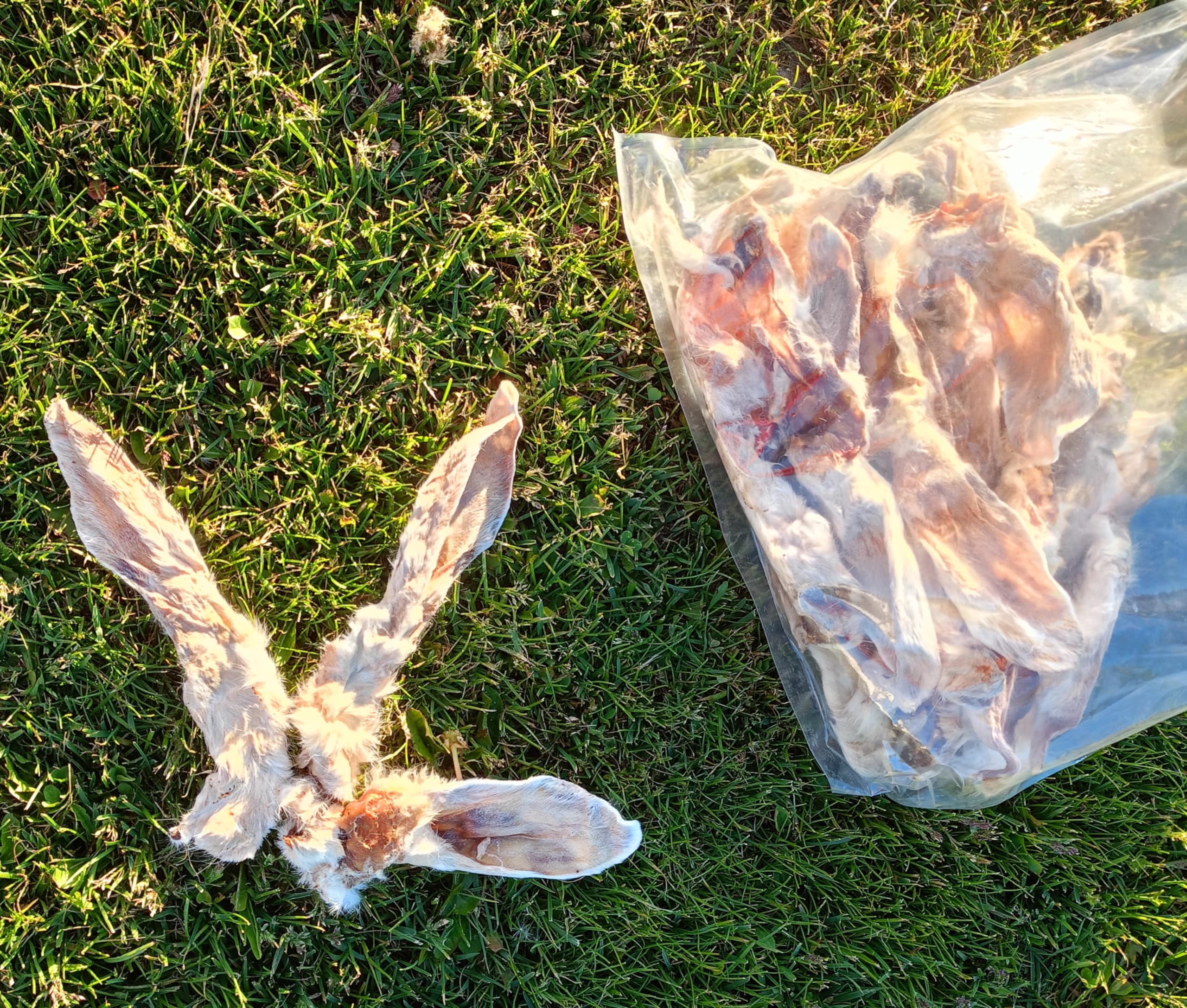 Oreilles de lapin pour chiens - 1 kg - Oreilles de lapin séchées avec fourrure, collation à mâcher riche en protéines - Friandise naturelle pour chien - Pour soins dentaires, barbe et mastication