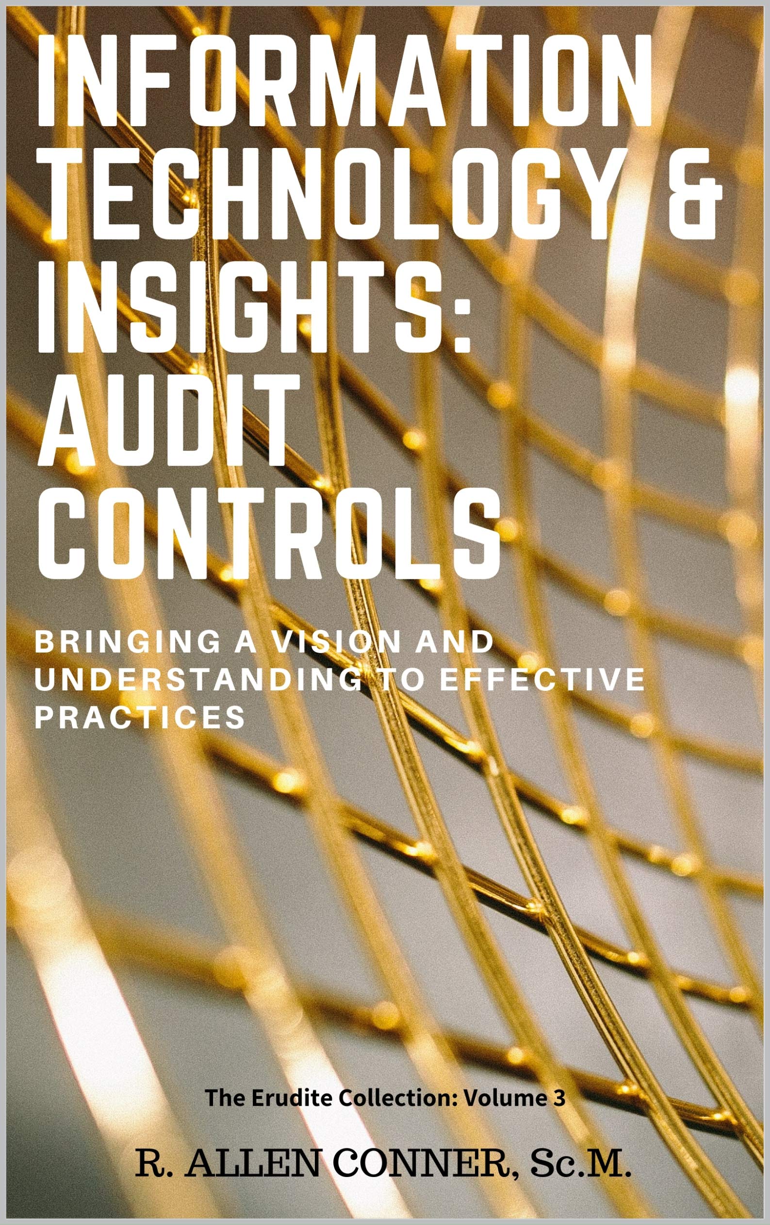 Information Technology & Insights: Audit Controls: Bringing a Vision and Understanding to Effective Practices (The Erudite Collection Book 3)