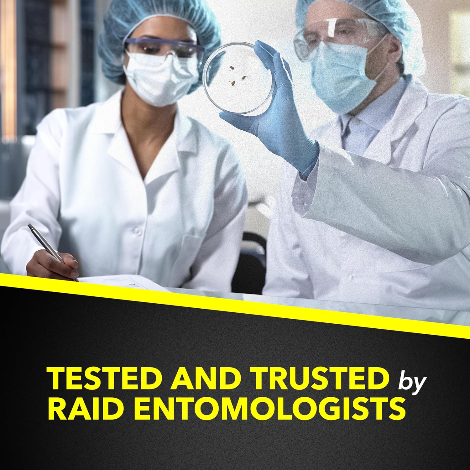 Raid Multi Insect Killer Aerosol Kills Ants Spiders Roaches and Flies No Lingering Chemical Odor Indoor and Outdoor Use 15 Ounce (Pack of 3)