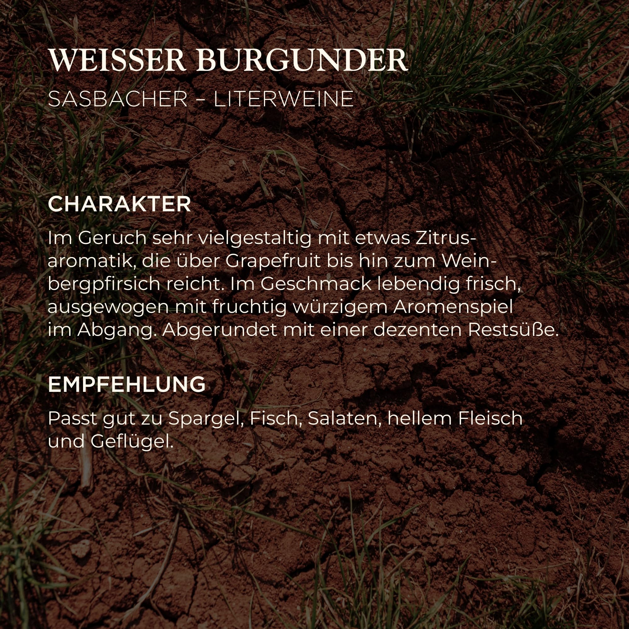Sasbacher Weißburgunder, Weißwein halbtrocken, vom Kaiserstuhl 6x1,0l | Zitrusaromatik von Grapefruit bis Weinbergpfirsich, lebendig frisch, fruchtig würziger Abgang, dezente Restsüße, Literwein