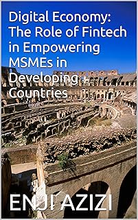 Digital Economy: The Role of Fintech in Empowering MSMEs in Developing Countries