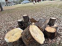 Review Image by Carter Carter