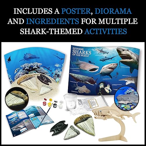 Miniatura 2 de WILD EnvironmentTAL SCIENCE Extreme Sharks of the World - Kit de manualidades científicas - Haz modelos, dioramas y estudia los animales más