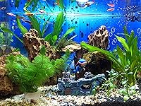 Vista 5 de Aquarium Shipwreck Decoration + Little Diver Floating Fish Tank Decoration, Fish Tank Ornaments