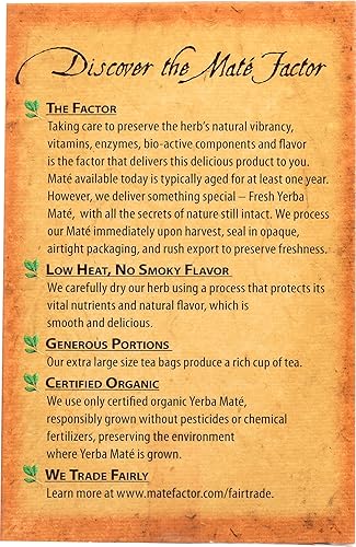 Vista 5 de The Mate Factor Yerba Mate Energizing Mate & Grain Bebida, tostado oscuro, 12 onzas