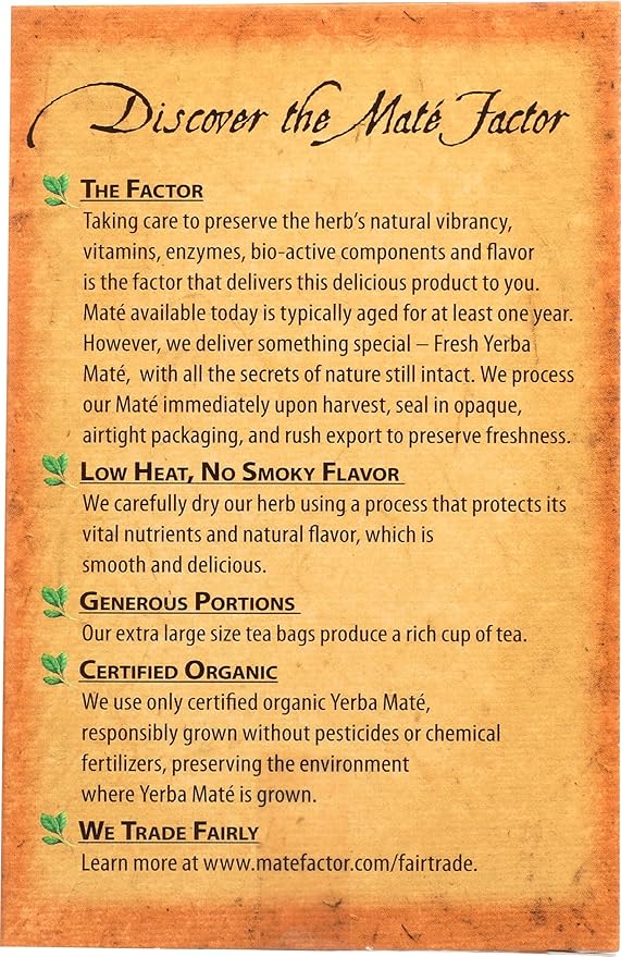 Té de Yerba Mate Orgánico Chai - 20 Saquitos miniatura 3