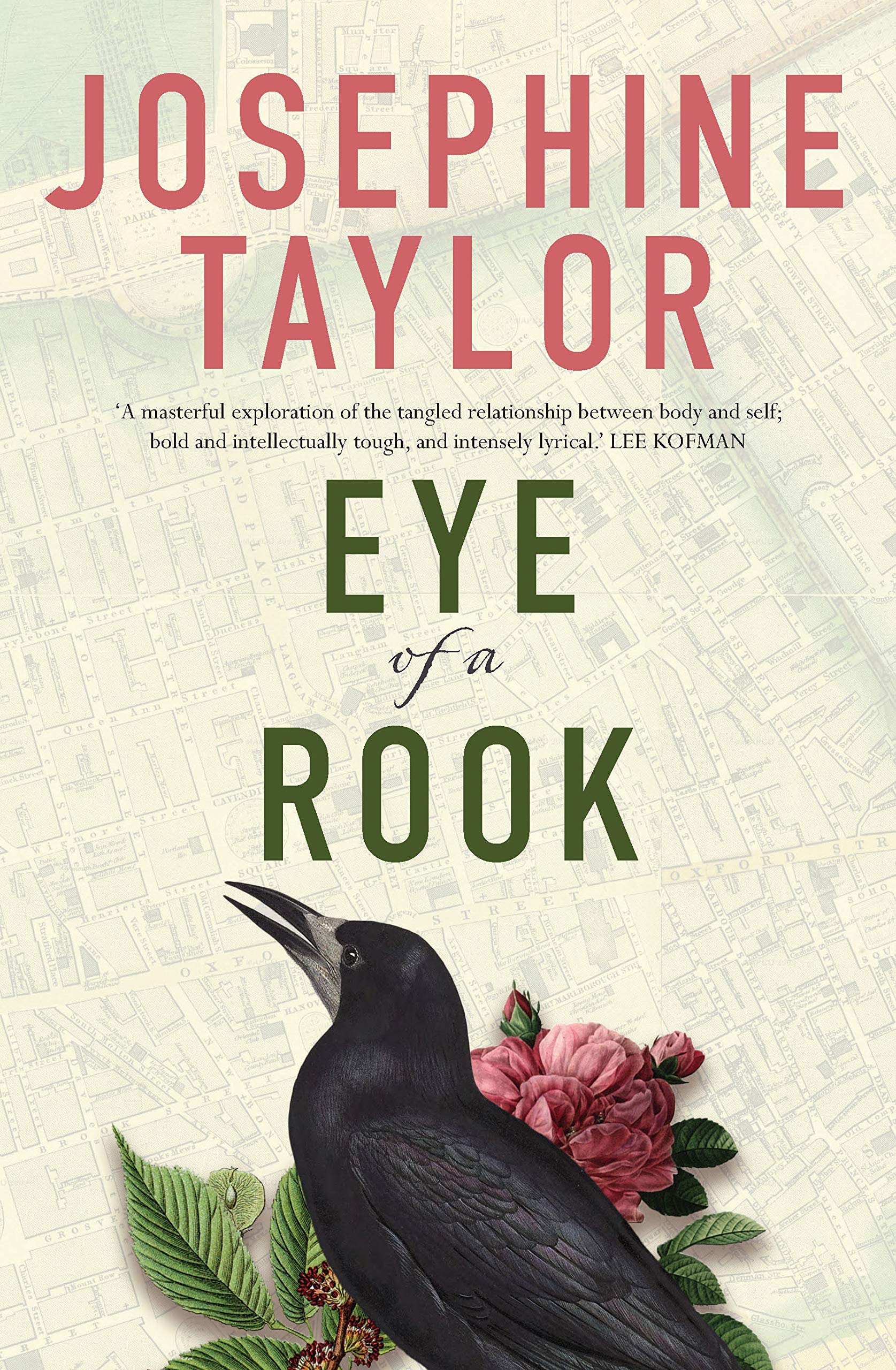 Buy Eye of a Rook — BookShops.in