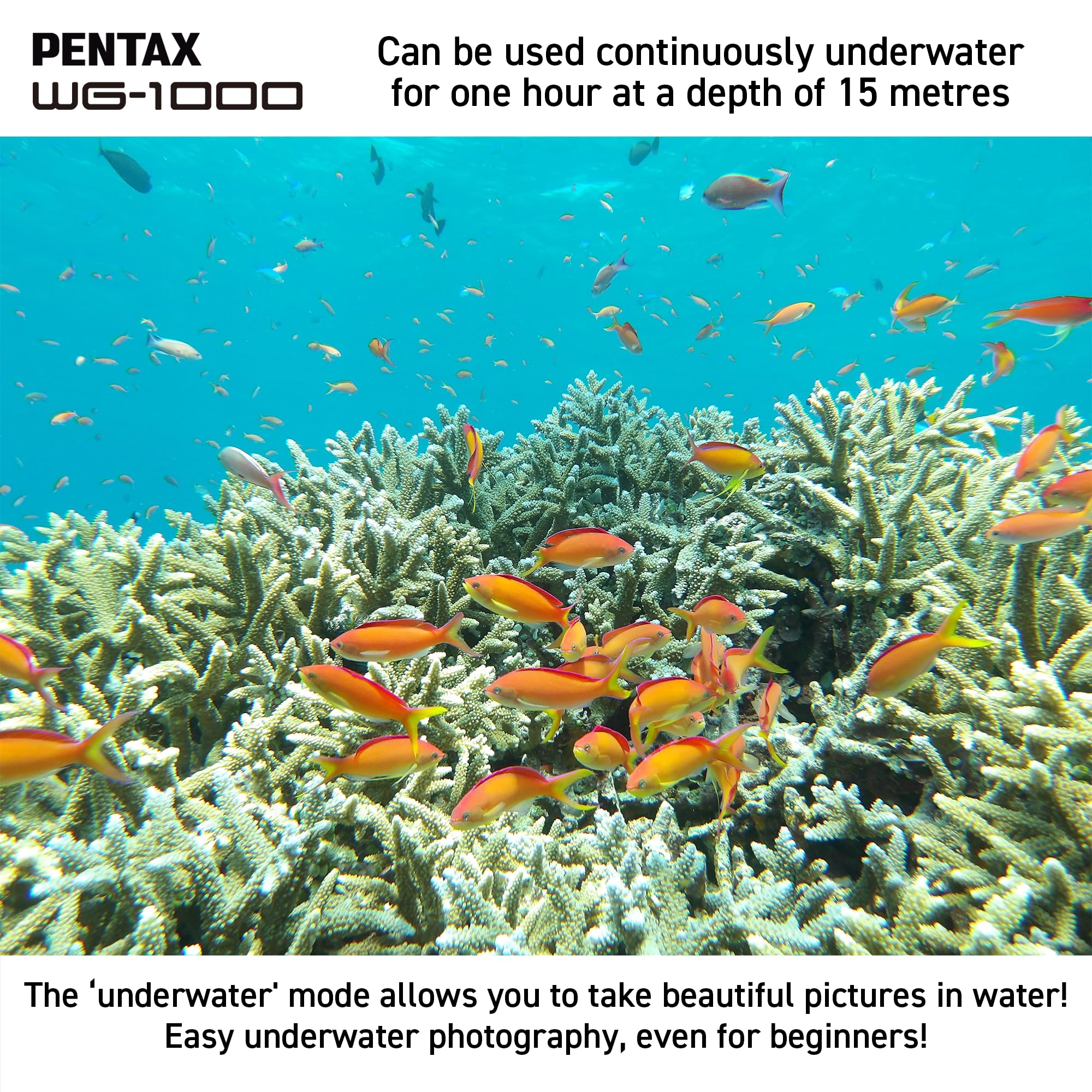Appareil Photo numérique Compact étanche PENTAX WG-1000 (Gris), conçu pour la Photographie décontractée en extérieur et sous-Marine, étanche jusqu'à Une Profondeur de 15 mètres, jusqu'à Une Heure