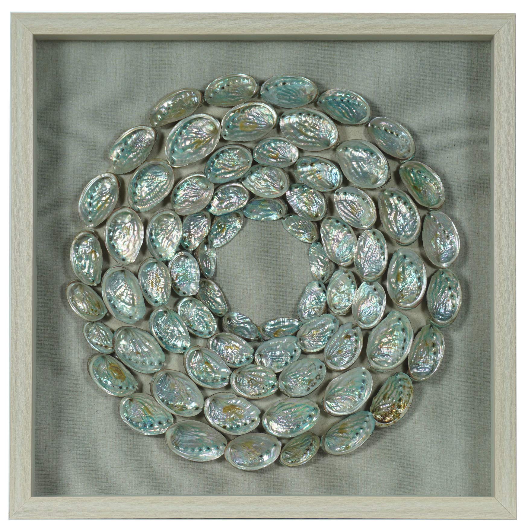 Abalone Shell Rings Shadow Box Wall Décor