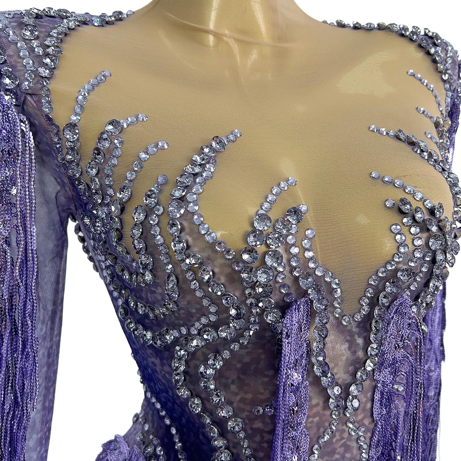 Women Purple Long Fringe Latin Dance Dress Rhinestone Illusion Mesh Gown with Flowing Tassels Nightclub Performance Costume