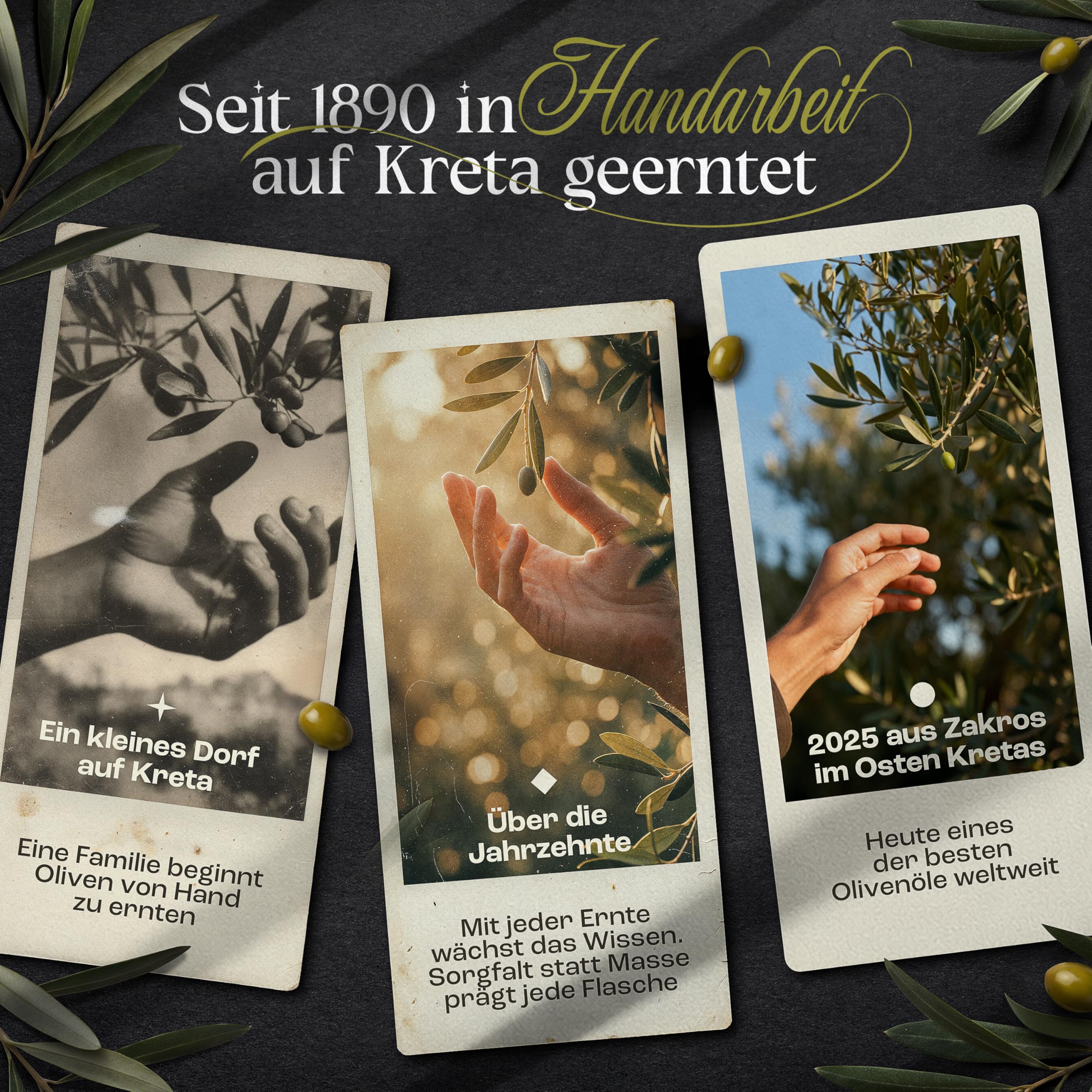 Deligreece Olivenöl | Seit 1890 traditionell hergestelltes Olivenöl von Kreta | Extra natives Oliven Öl aus unreifen Oliven | Ausgezeichnetes & limitiertes griechisches Öl | 500ml Flasche
