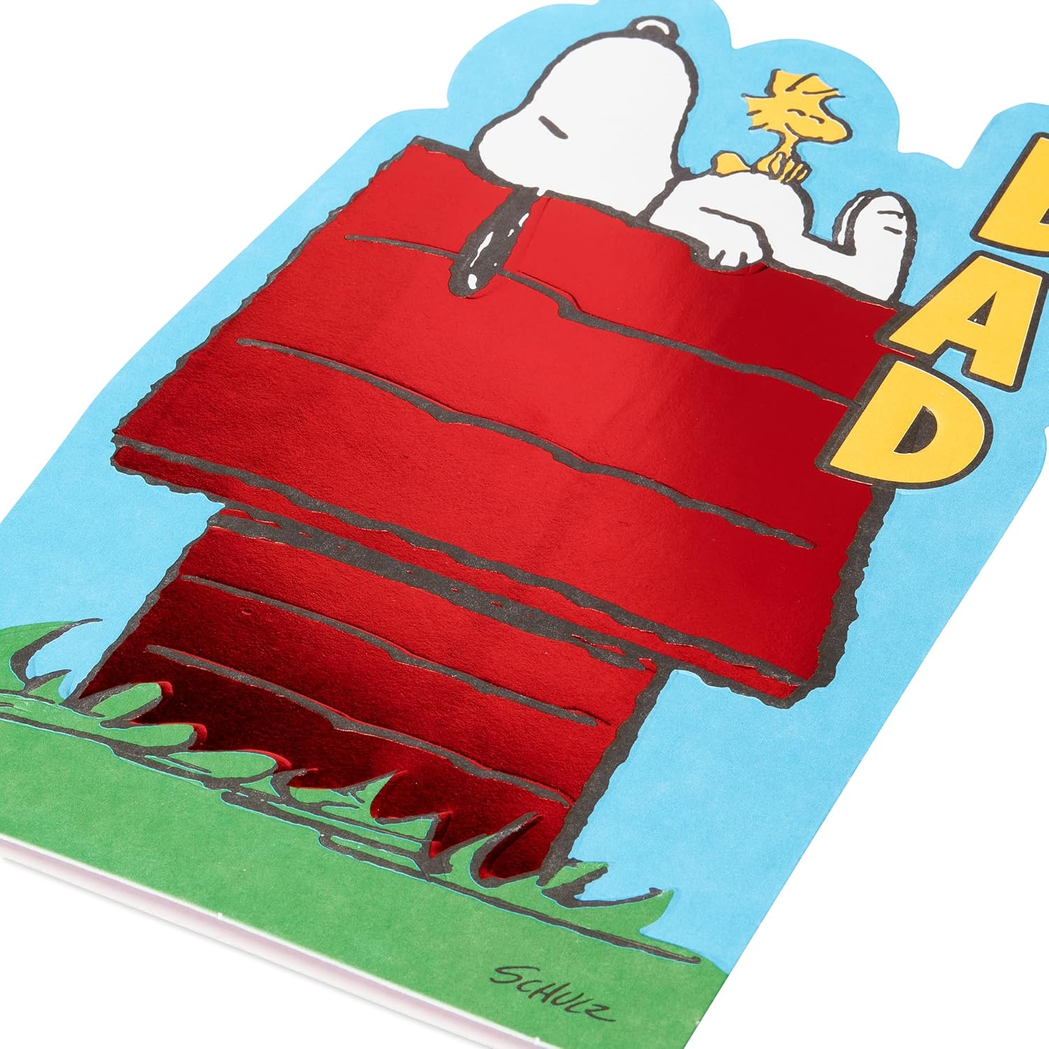 American Greetings Fathers Day Card for Dad (A Day To Relax)