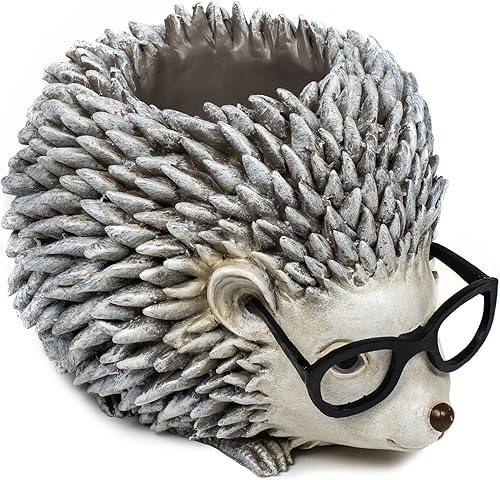 Roman Giftware Inc., Colección Jardín, Pudgy Pals, erizo de 6.5 pulgadas de alto con gafas, religioso, inspirador, duradero (6 x 10 x 7)