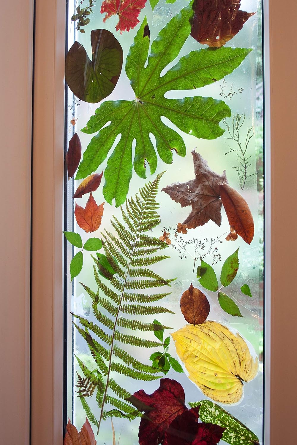 d-c-fix 346-0013 Self-Adhesive Privacy Glass Window Film, Glossy Transparent, 17.7" x 78.7" Roll