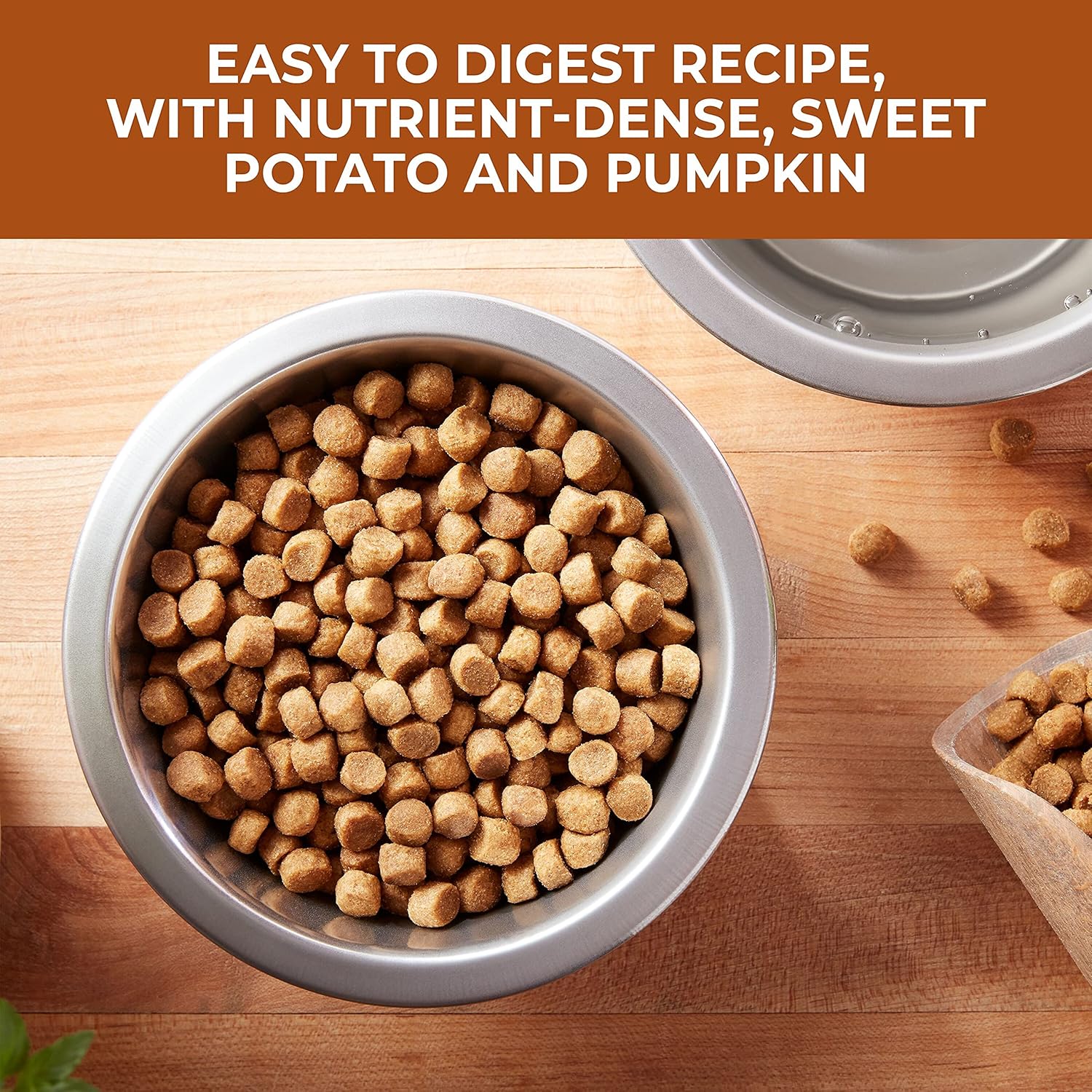 Nature's Recipe Grain Free Dry Dog Food, Chicken, Sweet Potato & Pumpkin Recipe, 4 Pounds, Easy to Digest : Pet Supplies