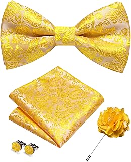 JEMYGINS Herren Paisley Fliegen set inklusive Einstecktuch Manschettenknöpfen und Boutonniere geeignet für Hochzeitsbankette und Partys