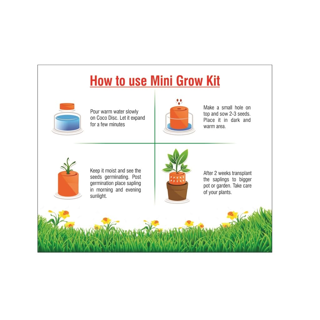 Giftonetree Grow Your Own Plant Mini Kit | 10 Seasonal Flower Mini Kit and 10 Plantable Seed Pencils | Best Return Gift For Kids Birthday Party (Seasonal Flower, 10, count) 4