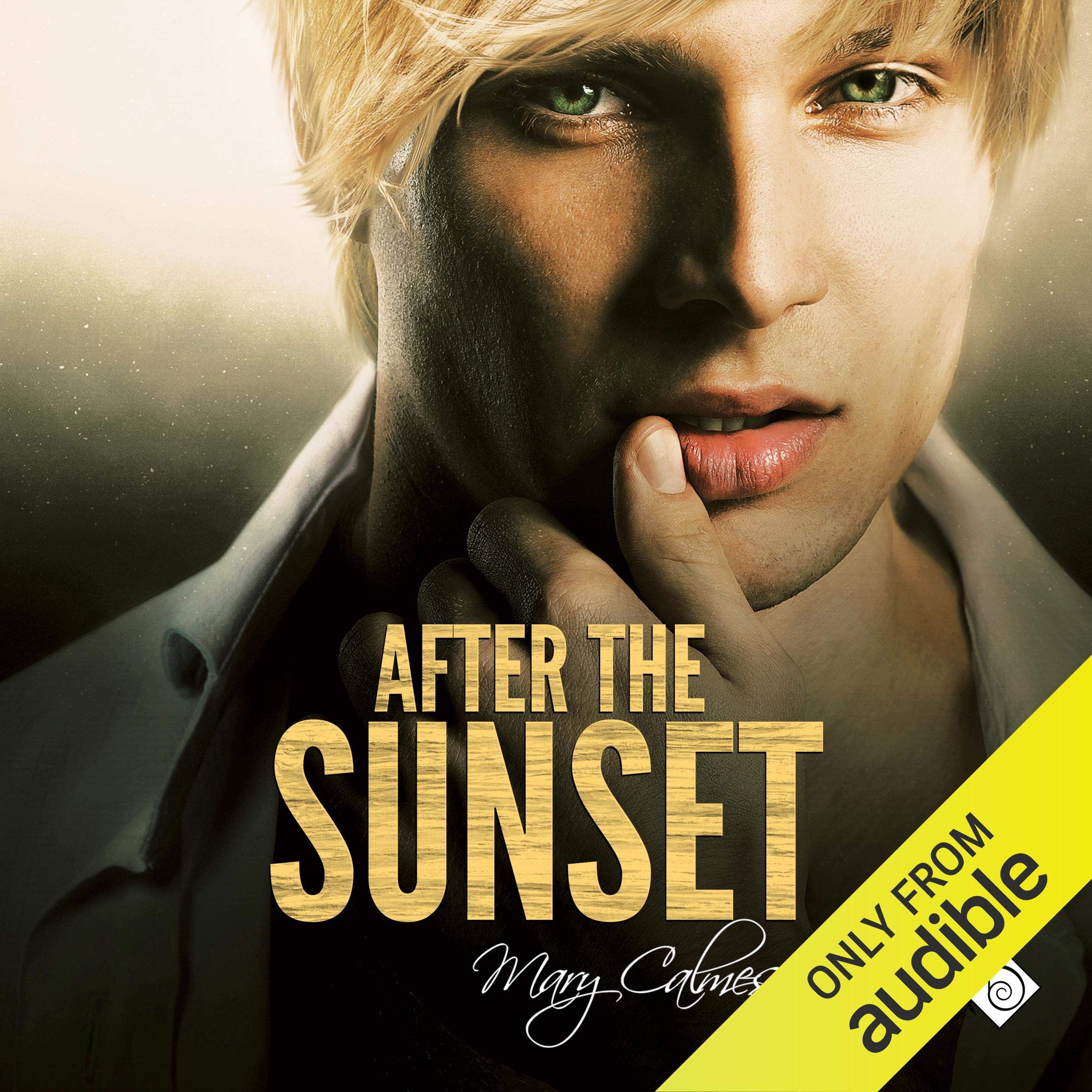 Cover art for After the Sunset