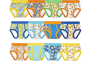 Blippi Boys' Exclusive 12-Days Advent Box: Potty Training Made Fun