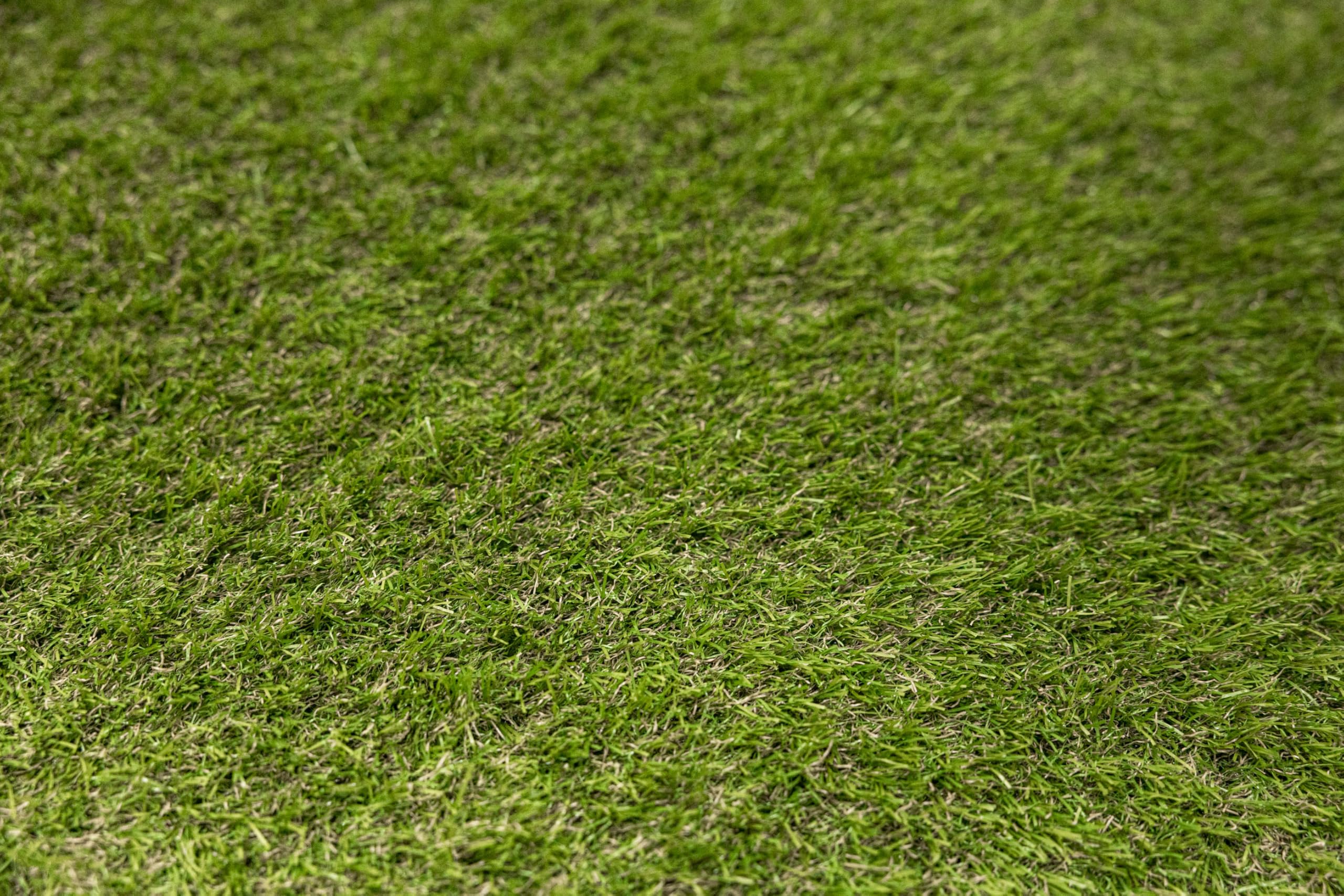 Kunstrasen Bella 30mm 250x500 cm Grün – Outdoor Rasenteppich nach Maß, wasserdurchlässig, weich, für Balkon, Terrasse, Garten & Poolbereich, Meterware, weich Artificial Grass