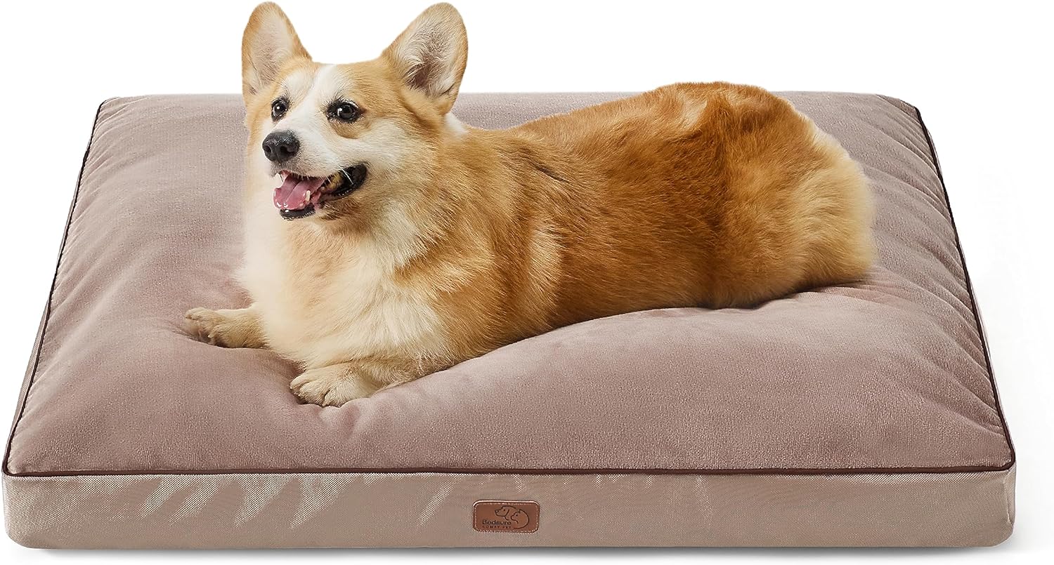 Dog Beds Cama Impermeable Perros Fundas Bcn Colchon De Verano Para
