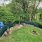 Review Image by Thomas Thomas