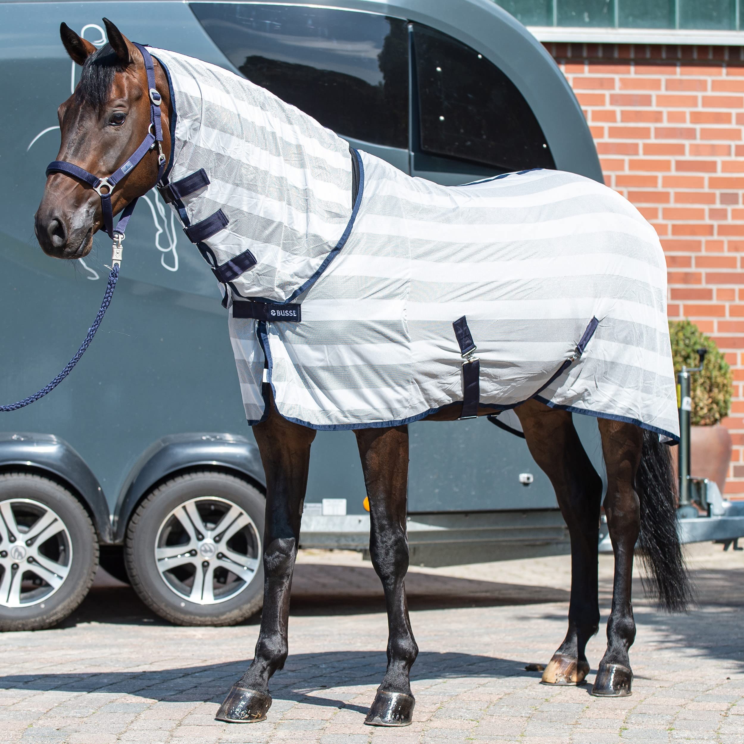 Busse Transport-Fliegendecke Stripe Plus