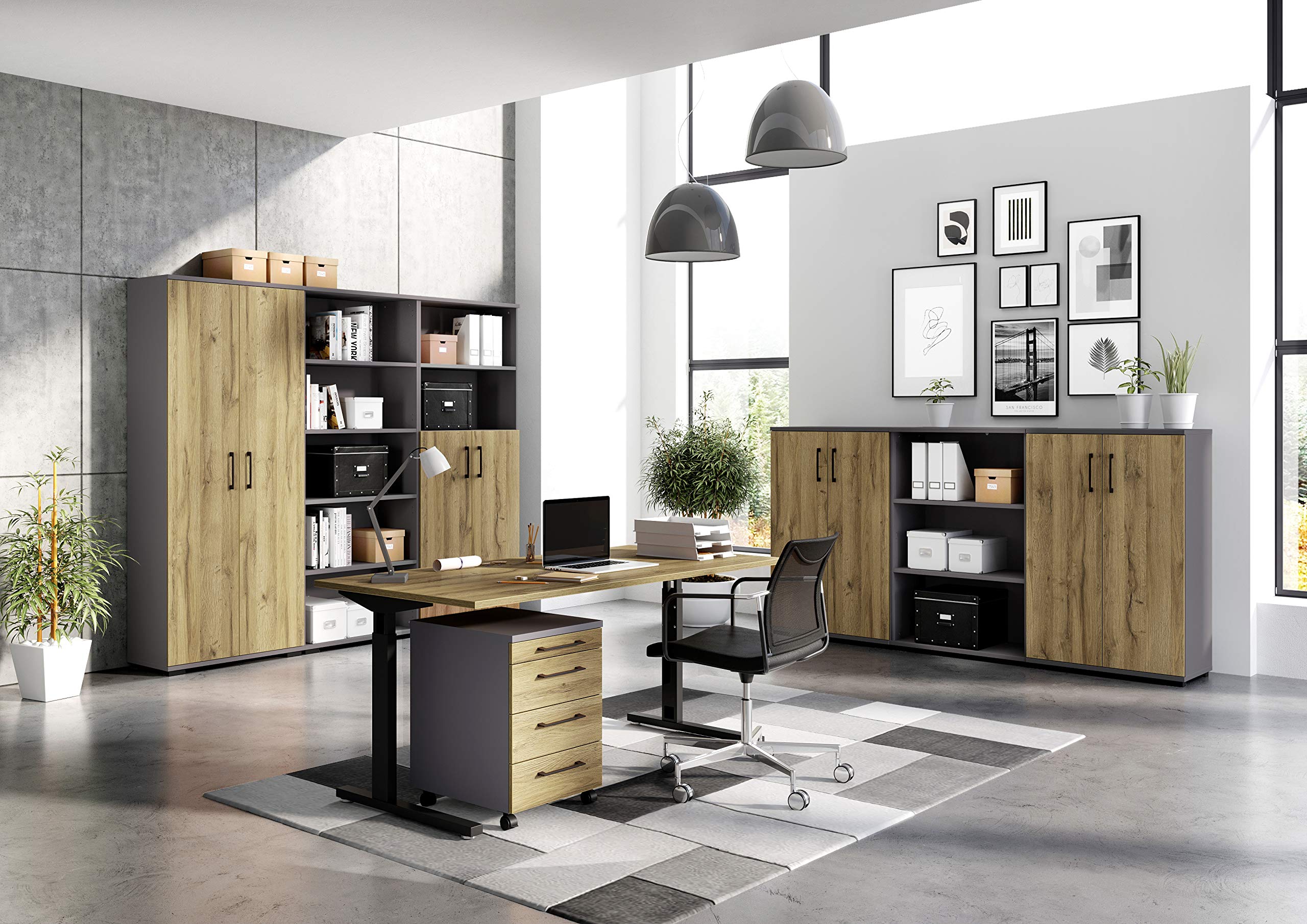 Aktenschrank mit Zwei Türen, fünf Fächer in Ordnerhöhe, Bügelgriffe aus Metall, in Graphit/Eiche, 80 x 200 x 40 cm (BxHxT)