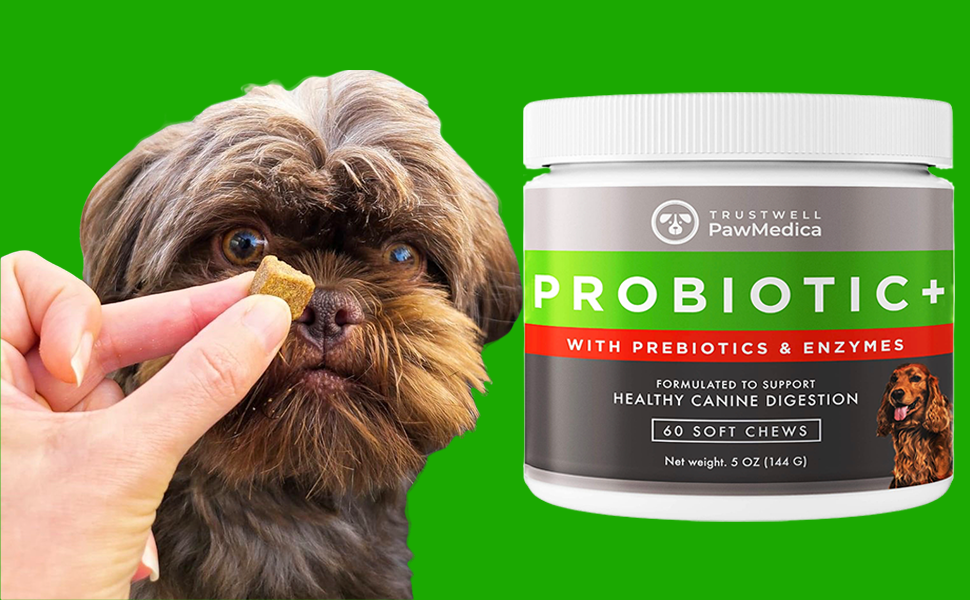 Photo inspiration: Watch Dog Probiotics Review Pawmedica Probiotic Treats On Amazon Live Photo Inspiration
