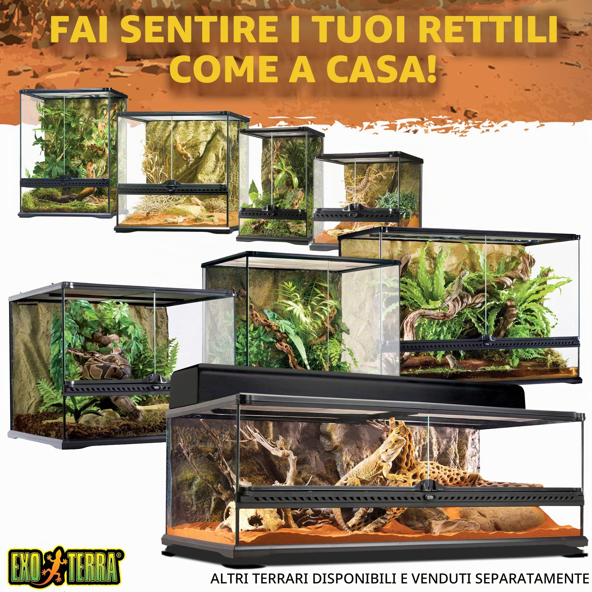 Exo Terra - Micro terrario in vetro con ambientazione per rettili, dimensioni 20 x 20 x 20 cm