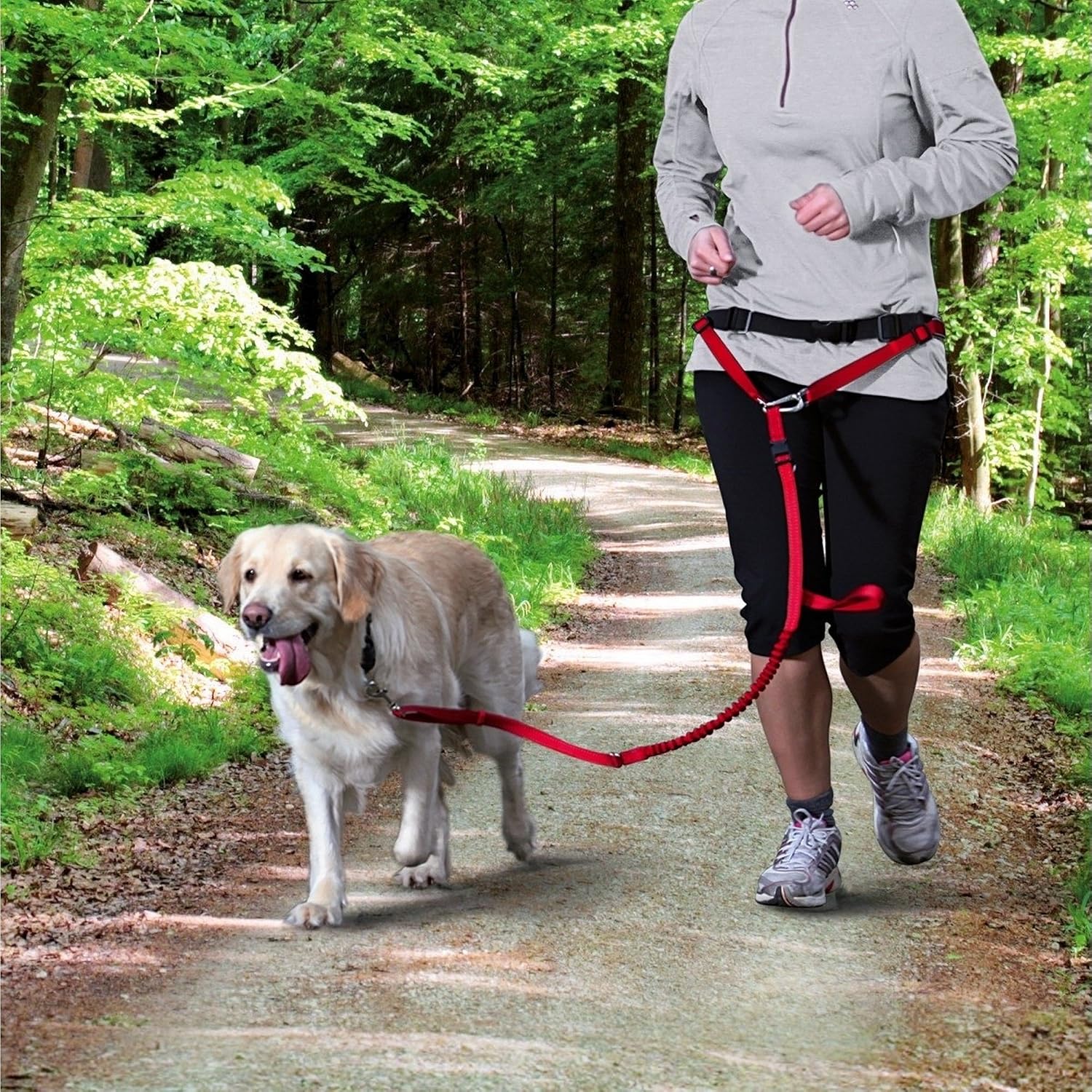 TRIXIE Waist Belt with Lead for Medium-Sized and Large Dogs