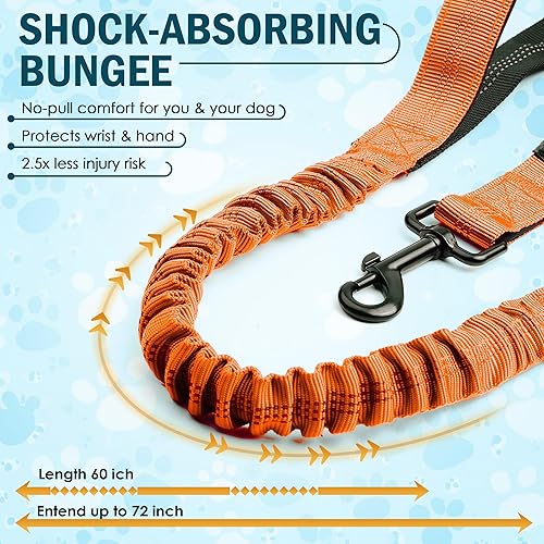 Miniatura 2 de Correa de perro manos libres con cinturón Bungee sin tirones, asas acolchadas dobles y bolsa con cremallera para correr, caminar y entrenar Correa