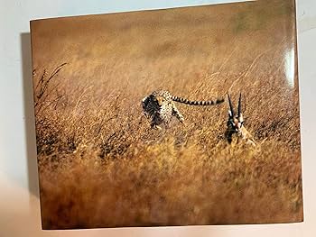 the serengeti's great migration 洋書 the serengeti's great