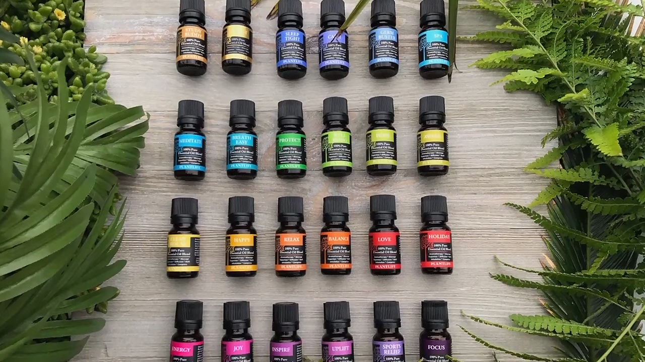 Amazon.com: Plantlife Tree Set 6-Pack (Cedarwood, Cypress, Fir