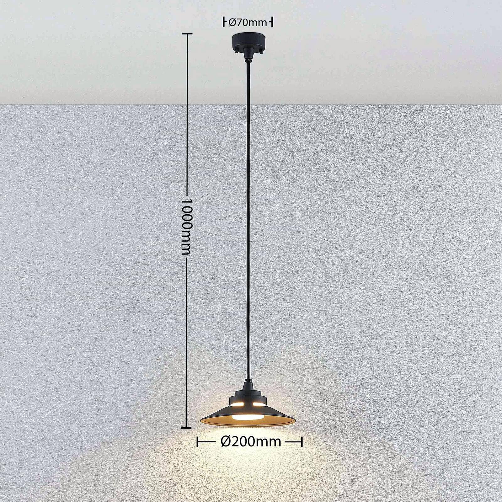 Lindby LED Lámpara para exterior Cassia (Moderno) en Negro hecho de Aluminio (1 llama, lámpara colgante