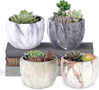 RM Botanicals 3.35 Inch Ceramic Cactus Succulent Plant Pots Flower Herbs Planter Pot with Drainage Hole Small Cute Marbling Matte Round Decorative Bonsai Planters Set of 4 Plants Not Included