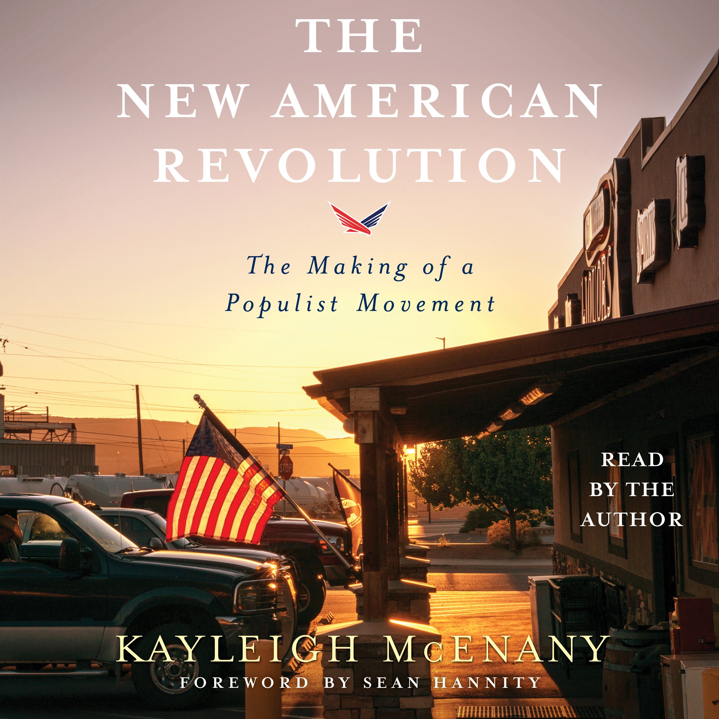 Cover art for The New American Revolution