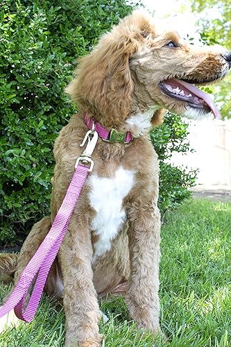 Miniatura 3 de Country Brook Petz  Collar de nailon premium para perro con hebilla de metal  Vibrante selección de 25 colores, Rosa