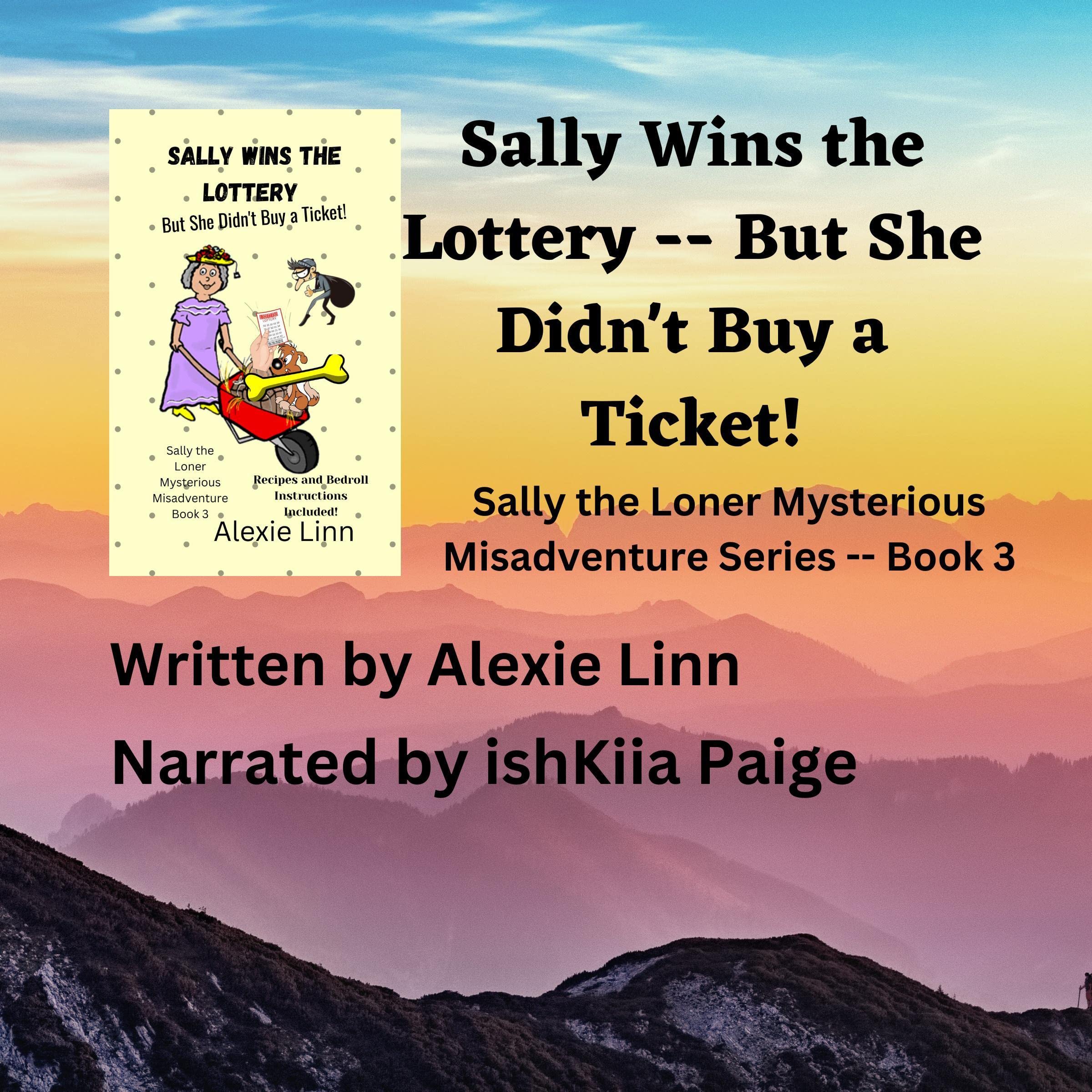 Cover art for Sally Wins the Lottery: But She Didn't Buy a Ticket!