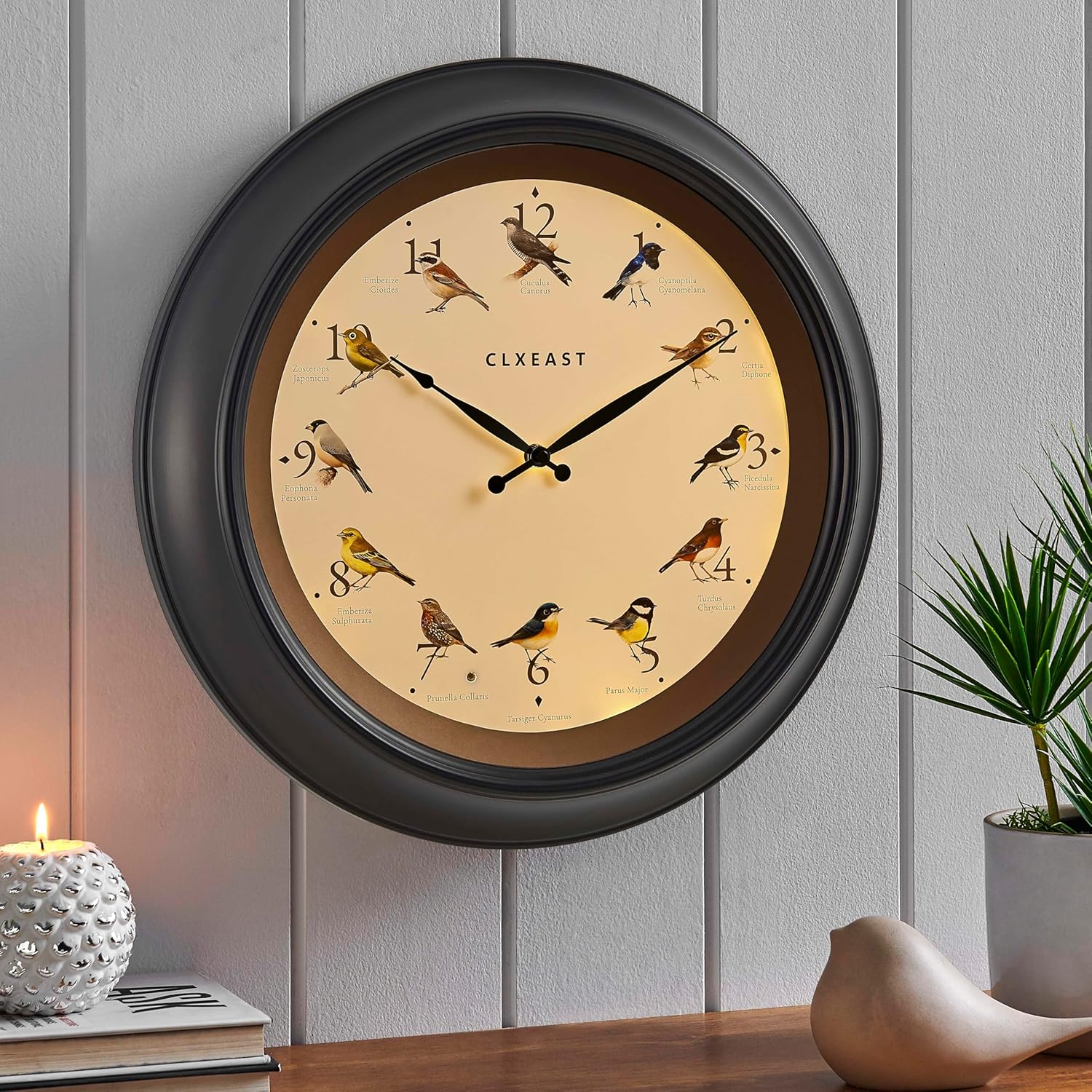CLXEAST 18 Inch in/Outdoor Singing Bird Wall Clock, Large Illuminated Outdoor Clocks Waterproof for Patio, Pool or Porch Decor,Oil Rubbed Bronze Black