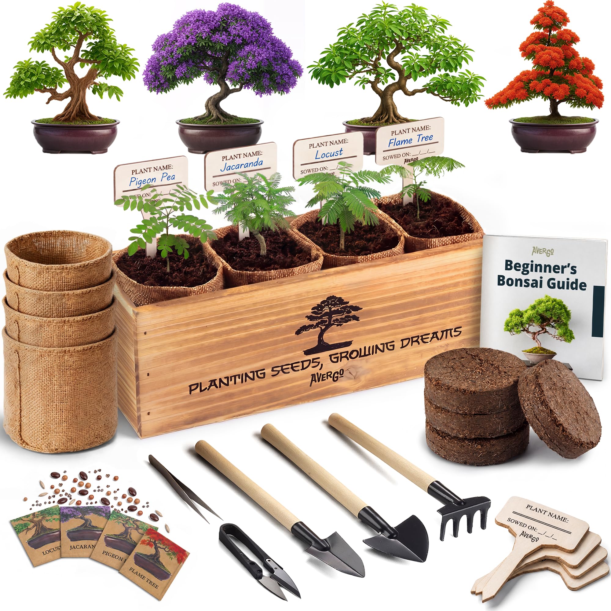 Avergo Bonsai Tree Kit