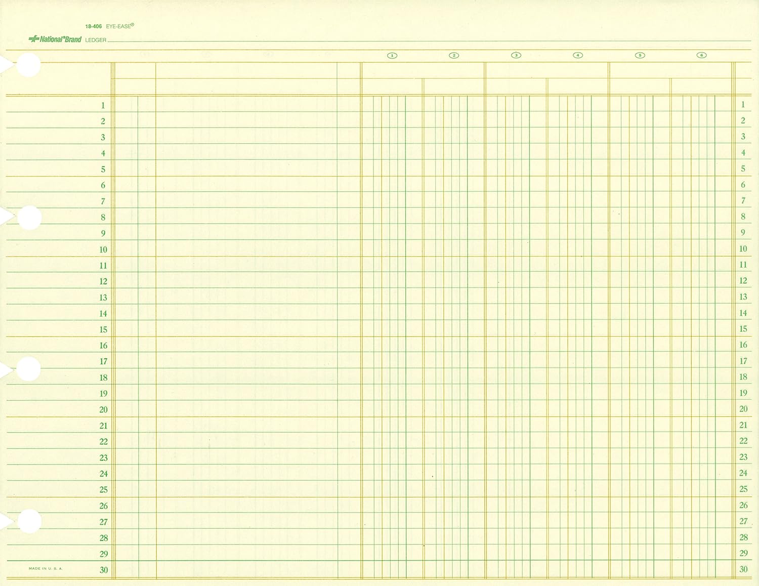 NATIONAL Brand Columnar Sheets, 6 Columns, Green Paper , 9