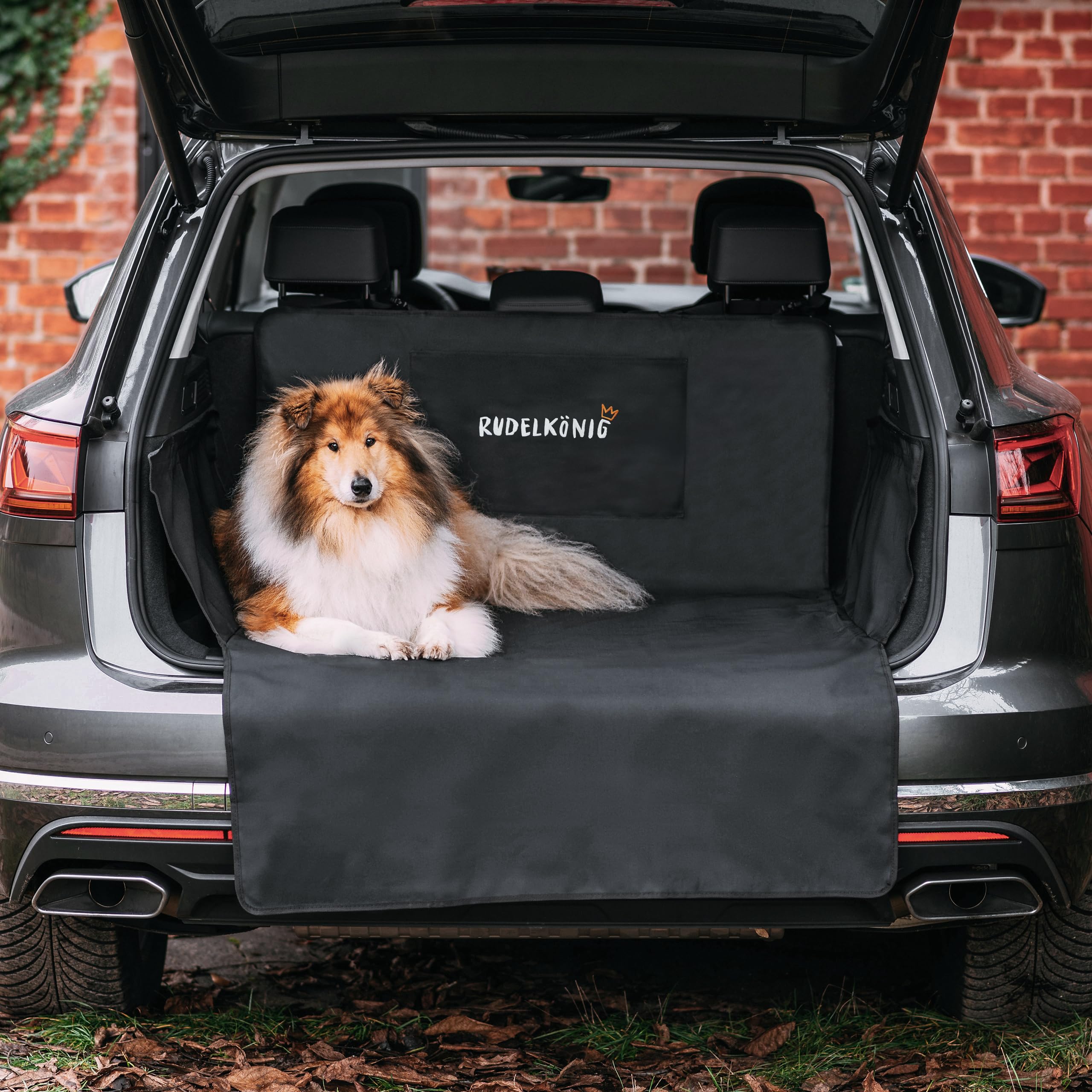 Rudelkönig Kofferraumschutz mit Ladekantenschutz - Wasserabweisend & Pflegeleicht - Auto Hundedecke mit Aufbewahrungstasche - Universale Schutzmatte für Hunde
