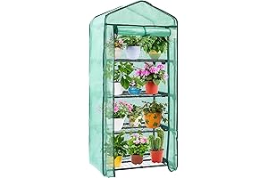 Mini Indoor Greenhouse Tent for Seedling, 2.5x1.6x5.2 FT