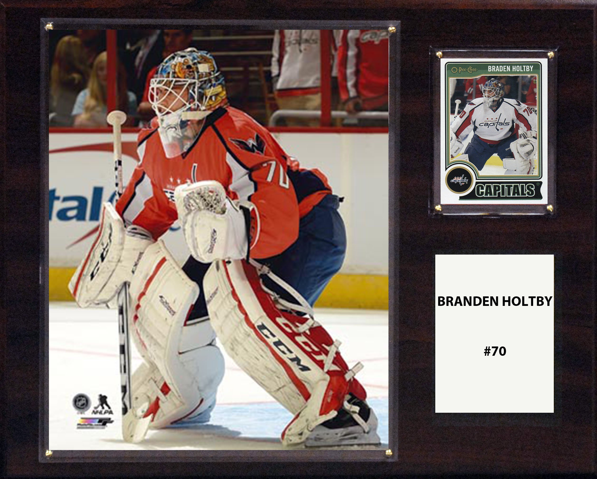 NHL Washington Capitals Branden Holtby Player Plaque, 12 x 15-Inch